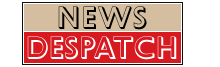 News Despatch